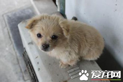 细小治疗过程 细小治愈需要的全过程