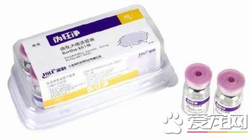 打狂犬疫苗要多少天 狂犬疫苗到底多久打有效