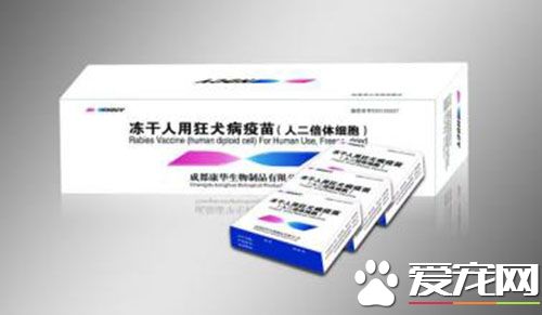 打完流感疫苗后咳嗽 接种反应是正常现象