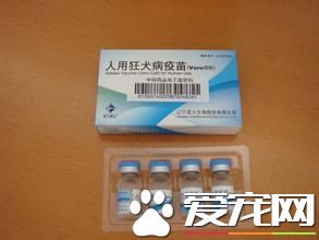 晚上哪里打狂犬疫苗 晚上打狂犬疫苗可以吗