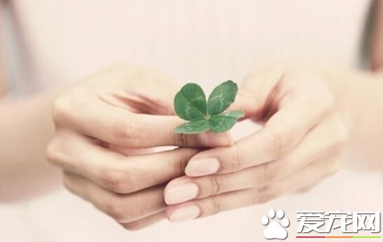 上环的好处和坏处 对比好坏谨慎选择避孕方式