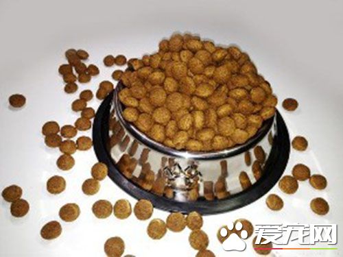 国产狗粮哪个牌子好 如何正确为狗狗选择狗粮