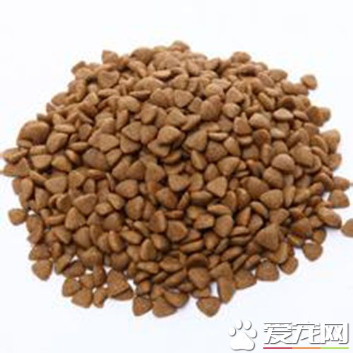 狗粮多少钱一袋 狗粮中含有哪些成分呢