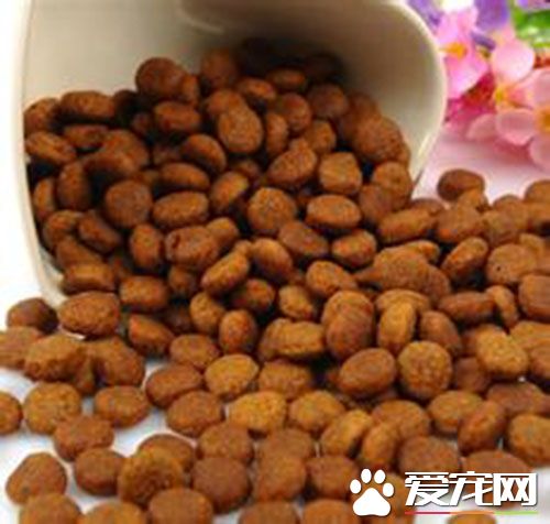 德牧狗粮排行榜 德牧吃哪种狗粮最好