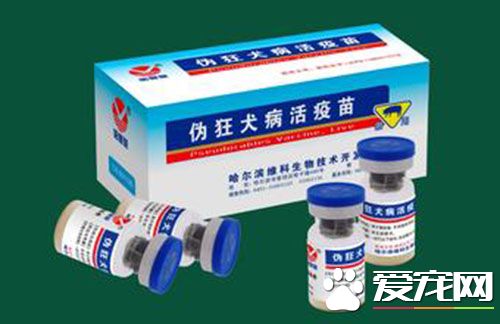 人流后可以打狂犬疫苗吗 狂犬疫苗有什么副作用