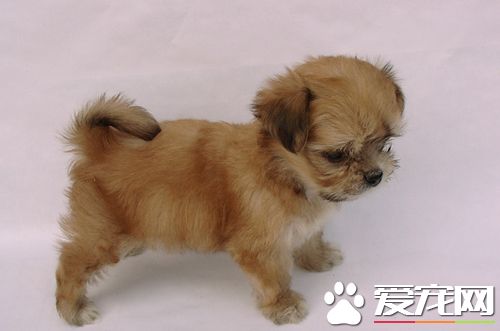 细小怎么测试 教你测试的结果怎样查看