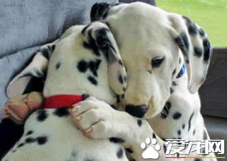 兄弟别难过了，女朋友没了还可以再找