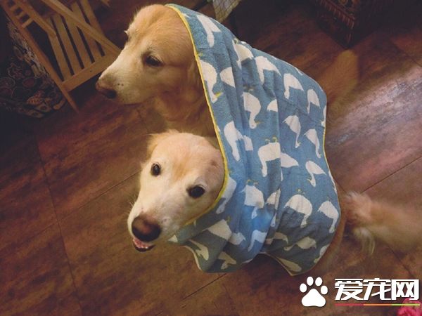 俺们哥两可是穿一条裤衩长大的铁交情