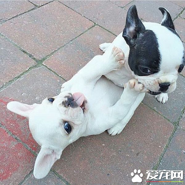 不要这样！就算你得到我的身，也得不到我的心的！