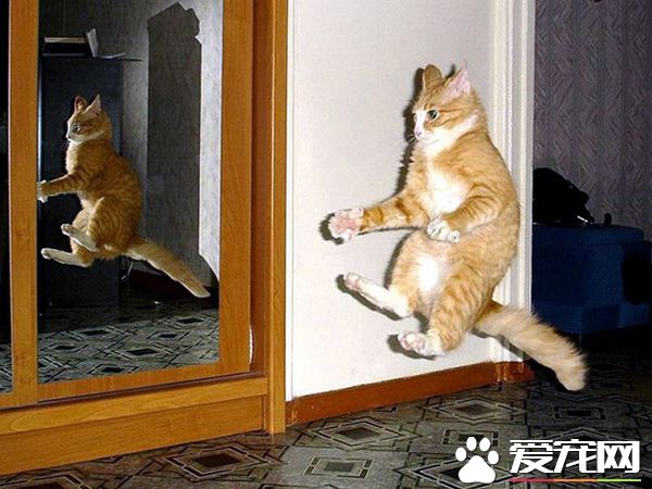 一个大写的吓我一跳