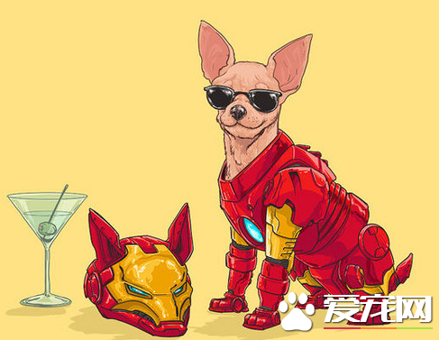 嗨，我是钢铁汪