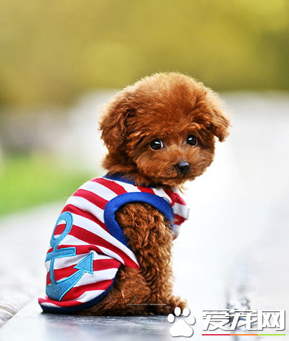 人生的道路上，有你的陪伴就是幸福