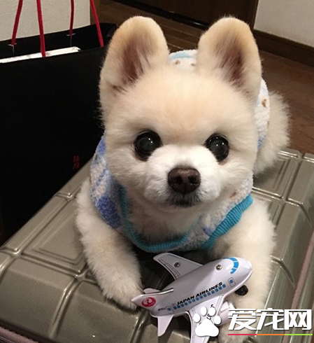 准备就绪，我们一起去旅行吧