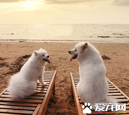 亲爱的，海边的日出真是太美了