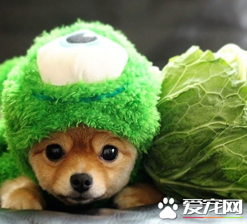 看我演的菠菜像不像