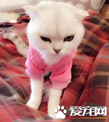 说了我不冷，还要给我穿衣服