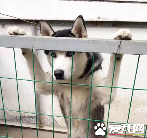 嘿，哥们，过来聊一聊