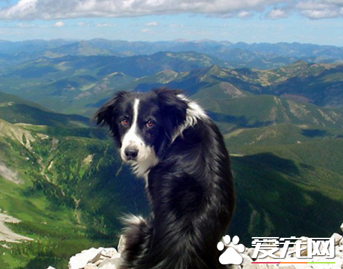 你说你会带我到天涯海角，这是真的吗？