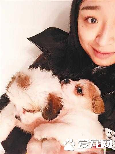 女子为养宠物与父母分居 更是花光每月工资