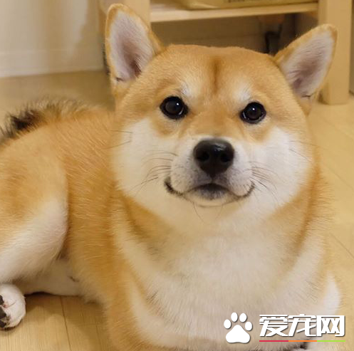 主银，我今天乖不乖呢