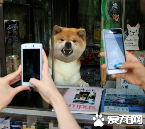 买不买，不买滚！拍什么照啊