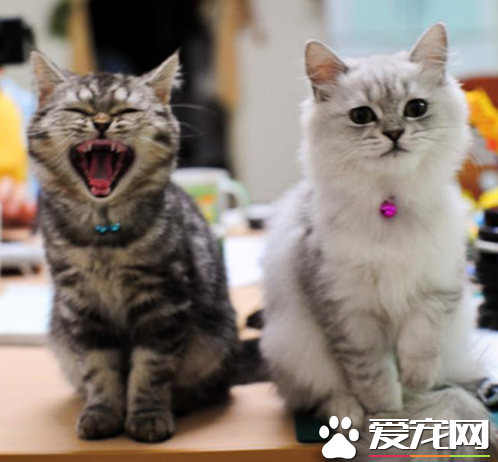 赶紧把你的不开心说出来，让我开心一下