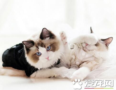 不许抢我的镜头知道吗