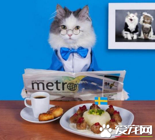 美好的一天从丰盛的早餐开始