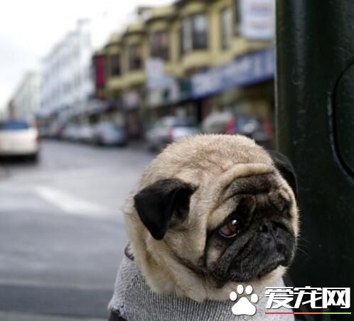 公交车怎么还不来啊