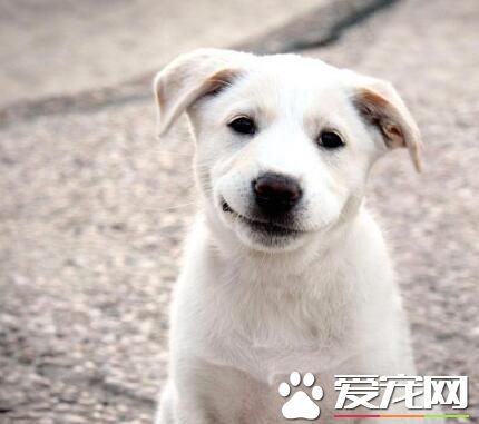 既然拍照就勉强笑一个