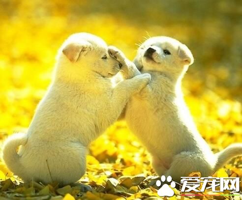 “抱一个。”“抱你妹！”