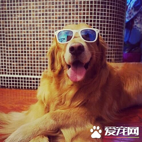 觉得我帅的请点赞