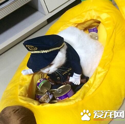 今天本船长的出海收获不错，哼哼哼