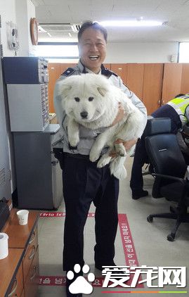 流浪狗没有人要 韩国警察收编给它一个家
