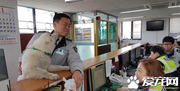流浪狗没有人要 韩国警察收编给它一个家