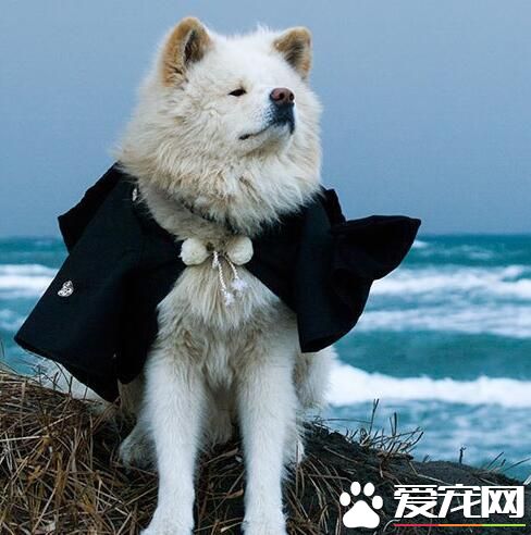 让老夫好好看看这大好的江山吧