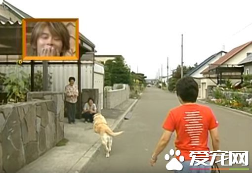 相隔11年在回家 导盲犬不曾忘记照顾它的家人