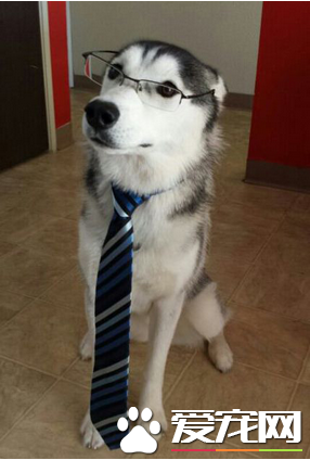 怎么样，像不像一个知识分子了