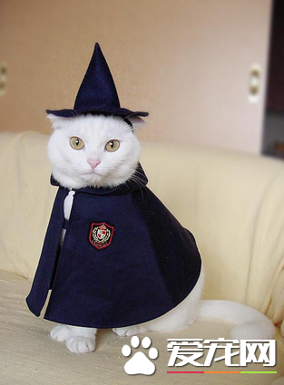 我是从魔法学校毕业的哦