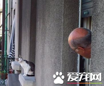 老头叫我什么事