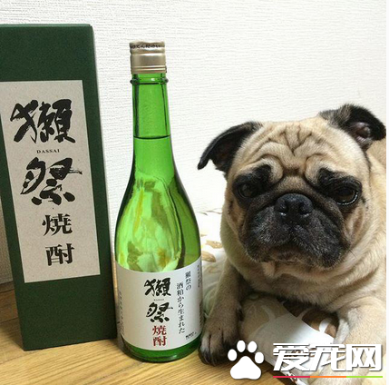 有人想跟我喝一杯的吗？