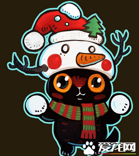 圣诞节的小黑猫