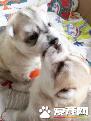 不好，被强吻了