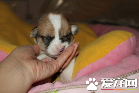 请把你的臭手拿开