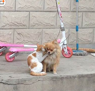 我给你说个小秘密