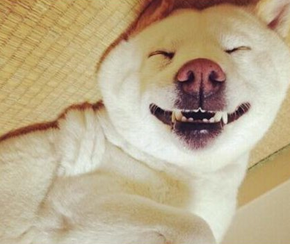 神一般的销魂睡姿