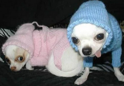 后面的，你的表情要不要这么猥琐？