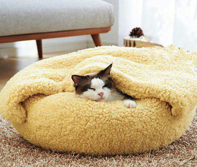 下雪天还是被窝舒服