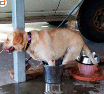 让我安静的泡个脚