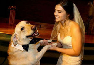 活的不如汪啊！